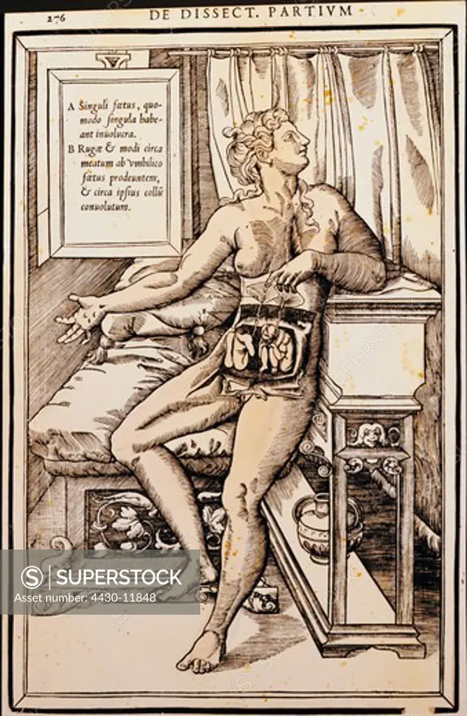 medicine anatomy pregnant woman woodcut ""Corporis humani Liber III"" by Henri d` Estienne Lyon 1543 - 1555 private collection,