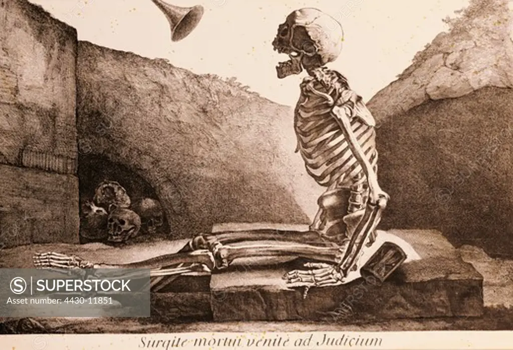 medicine anatomy sitting skeleton in a grave copper engraving by J. Wandelaar ""Tabulae anatomicae musculorum hominis"" by Bernhard Siegfried Albinus Leiden 1742,