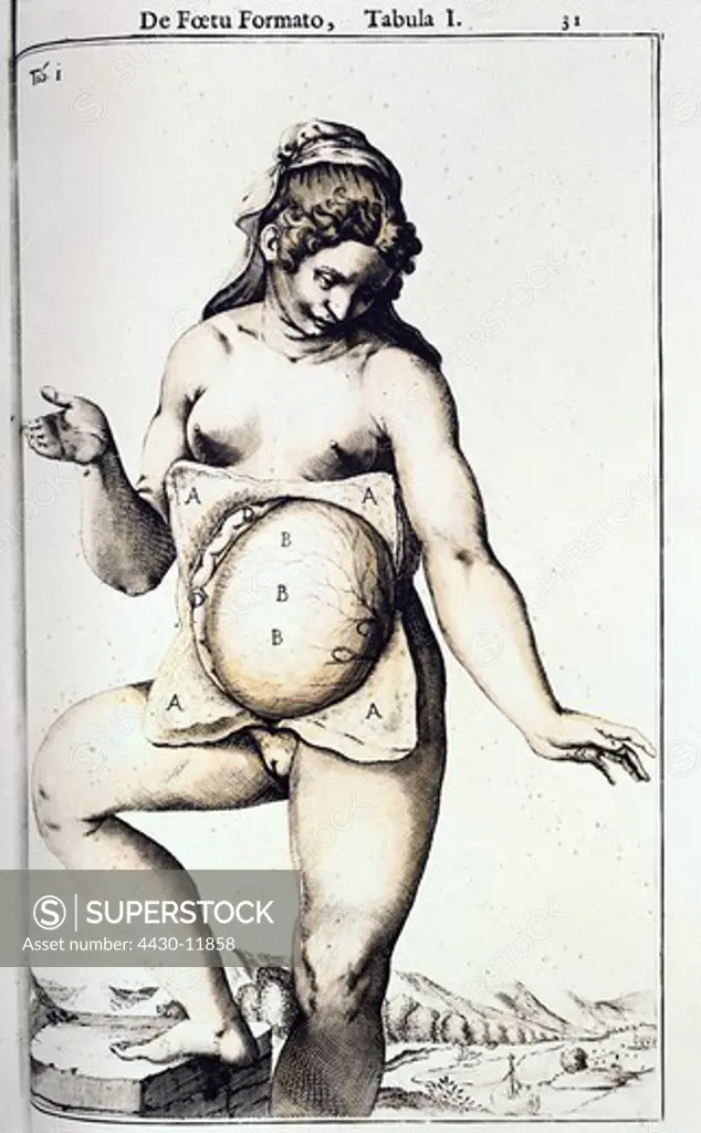 medicine anatomy pregnant woman with open belly woodcut ""Anatomia del corpo humano"" by Juan de Valverde Rome 1559 private collection,