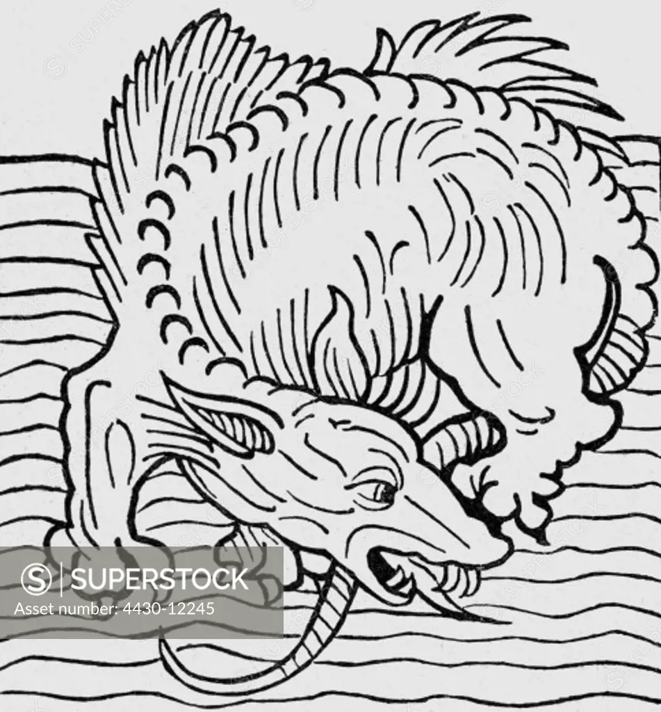 superstition, mythical creatures, sea-dragon, woodcut, ""Hortus sanitatis"", printed by Jakob Meydenbach, Mainz, 1491,
