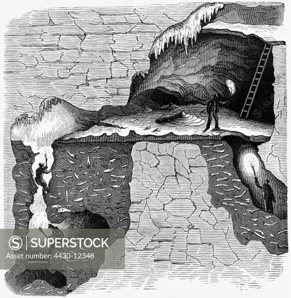 prehistory, fossils, Gailenreuth Cave, Little Switzerland near Muggendorf, Germany, with numerous fossil bones, lower part, cross section, illustration, wood engraving, circa 1870,