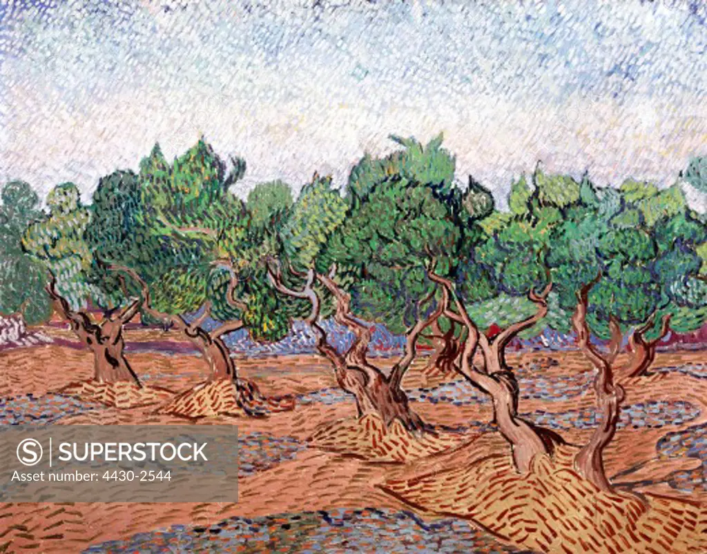 fine arts, Gogh, Vincent van (1853 - 1890), olive trees, pink sky, painting, Saint Remy 1889, oil on canvas, 730 x 925 cm, Rijksmuseum van Gogh, Amsterdam,