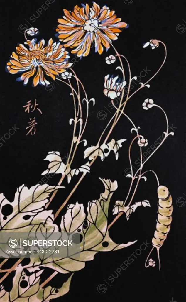 fine arts, Ito Jakuchu (1716 - 1800), Chrysanthemum with caterpillar, panel print, ""Gempo Yoka"", 1768, 27,6x17,5 cm, private collection, plants, leaves, flower, animals, insects, wood, Japanese Art, Japan, Asian, mid Edo period, 18th century, JP,
