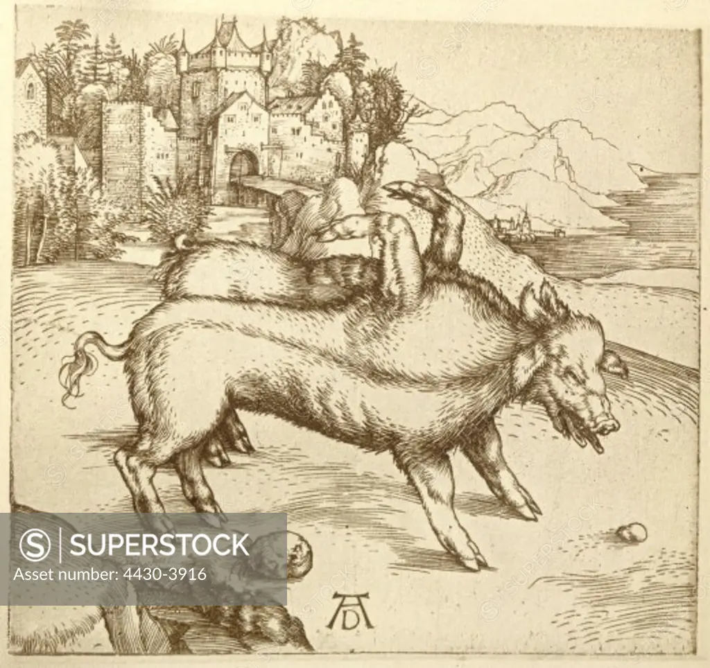 fine arts, Duerer, Albrecht, (1472 - 1528), ""The miracolous sow of Landser"", circa 1496, copper engraving, 12,1 x 12,7 cm, private collection,