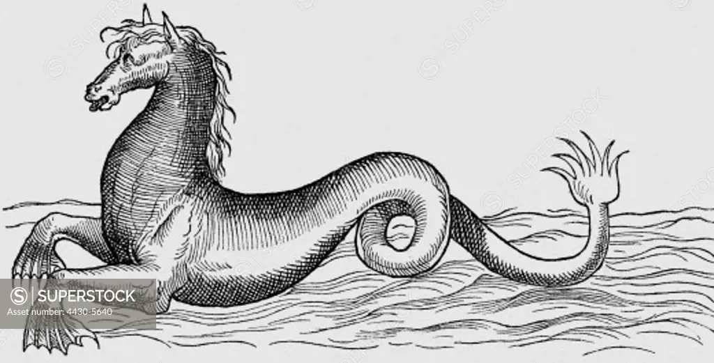 superstition mythical creatures ""sea horse"" (""Hippocamp"") woodcut ""De aquatilibus"" by Petri Belloni Paris 1580,