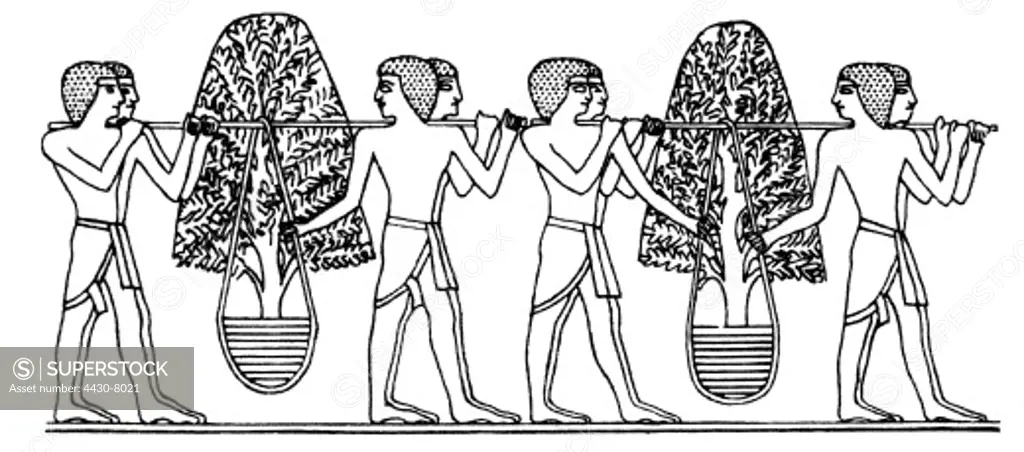trade incense porters with incese tree from punt after relief from the funerary temple of the Queen Hatchesput (1504 - 1483 BC) Deir el-Bahari Egypt wood engraving 19th century,