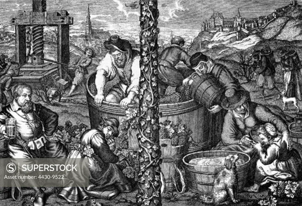 agriculture wine viticulture in Landshut harvest filling barrels with grapes reproduction of the engraving by Amling 17th century,