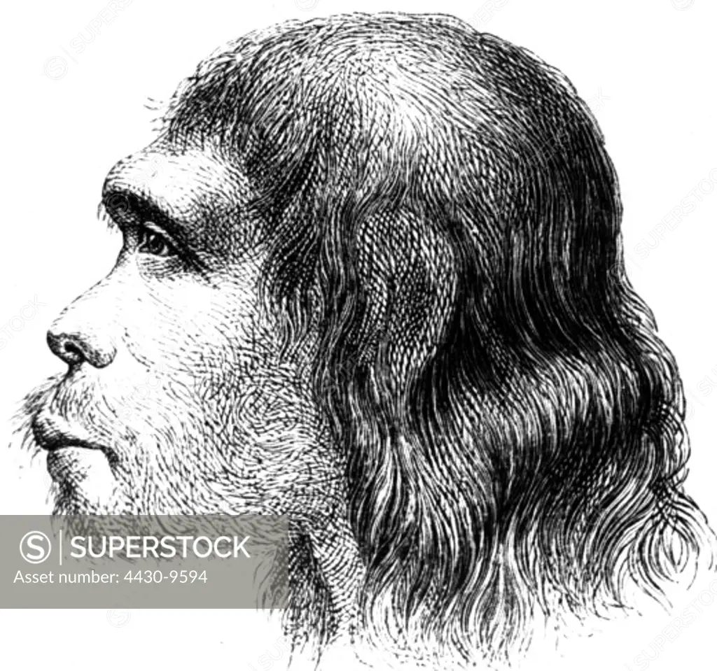 aeon prehistory people prehistoric men homo sapiens neanderthalensis Neanderthal man circa 150000 - 40000 BC profil portrait reconstruction engraving after drawing 19th century,