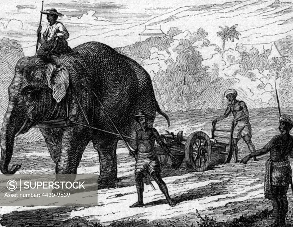 agriculture farming men with elephant plow wood engraving 19th century,