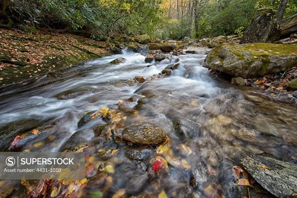 USA, North Carolina, Transylvania County, Dupont State Forest, River in Smoky Mountains
