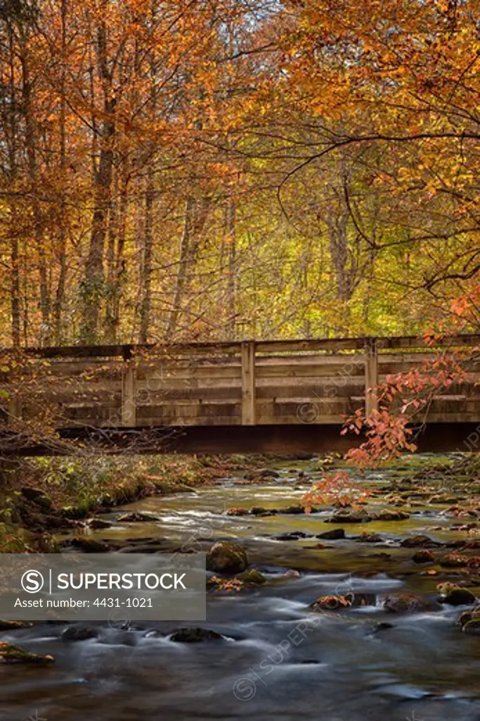 USA, North Carolina, Transylvania County, Dupont State Forest, Bridge in Smoky Mountains