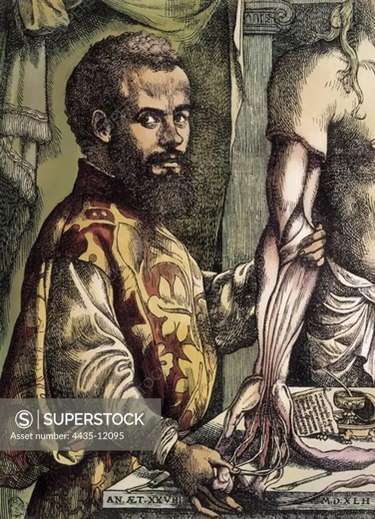 Vesalius, Andreas (1514-1564). Brabantian anatomist, physician, and author of one of the most influential books on human anatomy, De humani corporis fabrica. De Humanis Corporis Fabrica (On the Structure of the Human Body). First edition of the work executed in Basel in 1543. Portrait of Vesalio, dated in 1542. Etching. ITALY. TUSCANY. Florence. Galileo Museum.