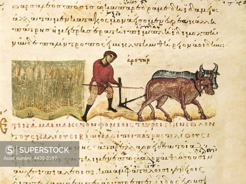 'Cynegetica: treatise on hunting and fishing' by Oppianus. Scene of farming with oxes. Greek school (11th c.). Romanesque art. Miniature Painting. ITALY. VENETO. Venice. Biblioteca nazionale marciana (St. Mark's Library).