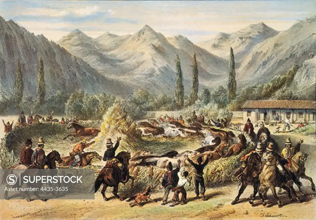 Threshing in Chile;; Illustration fom 'History of Chile' by F.Lehnert (1854). Litography.