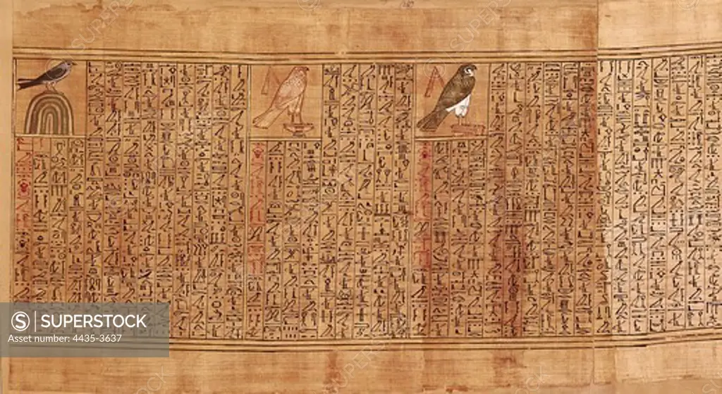 Book of the Dead or Papyrus of Any. ca. 1275 BC. 19th Dynasty. Representation of Ani as a swallow, as a golden falcon annd as a divine falcon. Egyptian art. New Kingdom. Painting. UNITED KINGDOM. ENGLAND. London. The British Museum. Proc: EGYPT. QUENA. Luxor. Thebes.