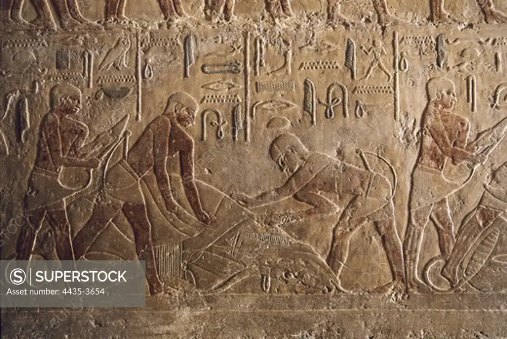Mastaba of Ti. EGYPT. Saqqara. Mastaba of Ti. Bull sacrifice. Egyptian art. Old Kingdom. Relief.