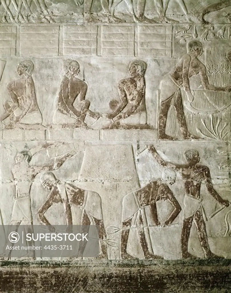 Mastaba of Mereruka. ca. 2323 BC. EGYPT. Saqqara. Wheat harvest. Egyptian art. Old Kingdom. Relief on rock.