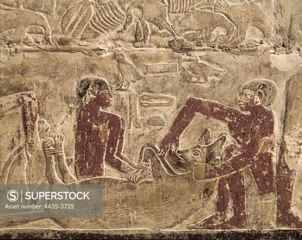 Mastaba of Mereruka. ca. 2323 BC. EGYPT. Saqqara. Capture of a hyena. Egyptian art. Old Kingdom. Relief on rock.