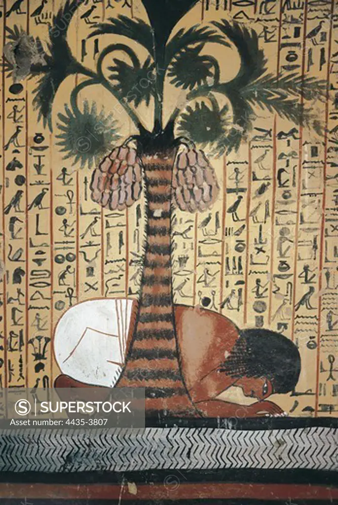 Tomb of Pashed. 1306 -1290 BC. EGYPT. Dayr al-Bahri. Valley of the Artisans. The deceased Pashed drinking. Egyptian art. New Kingdom. Painting.