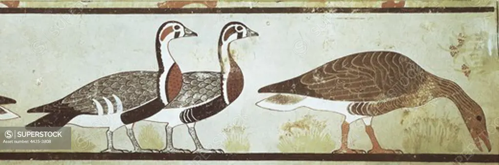 Meidum geese. 2723 BC. Detail. Painted stucco of the 4th Dynasty from the mastaba of Nefermaat and Atet. Egyptian art. Old Kingdom. Fresco. EGYPT. CAIRO. Cairo. Egyptian Museum. Proc: EGYPT. BENI-SUEF. Meidum. Tomb of Nefermaat.