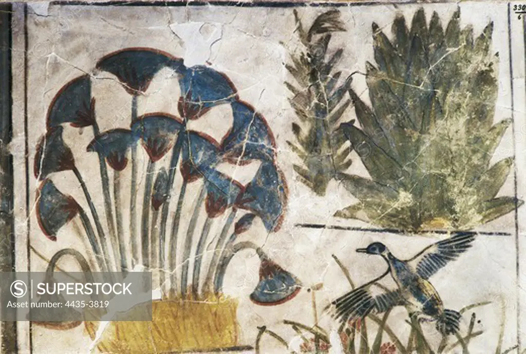 Painting from the Palace of Akhenaton. 1353 - 1335 BC. Plant motifs and a bird. Egyptian art. New Kingdom. Painting. EGYPT. CAIRO. Cairo. Egyptian Museum. Proc: EGYPT. MENIA. Amarna.