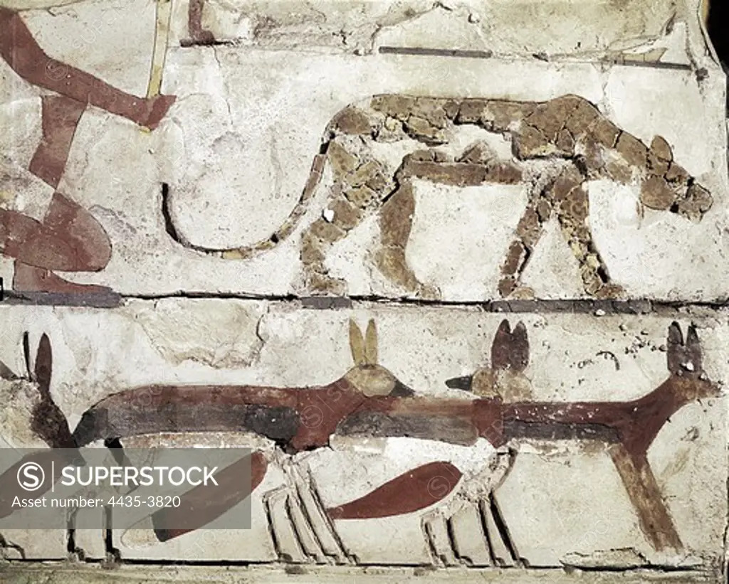 Reliefs from the tomb of Nefermaat. 2649 BC. Jackals and a panther. Form part of a representation of hunting in the desert. Nefer-Maat was a son of king Senefru, from the 4th Dynasty. Egyptian art. Old Kingdom. Painting. EGYPT. CAIRO. Cairo. Egyptian Museum. Proc: EGYPT. BENI-SUEF. Meidum. Tomb of Nefermaat.