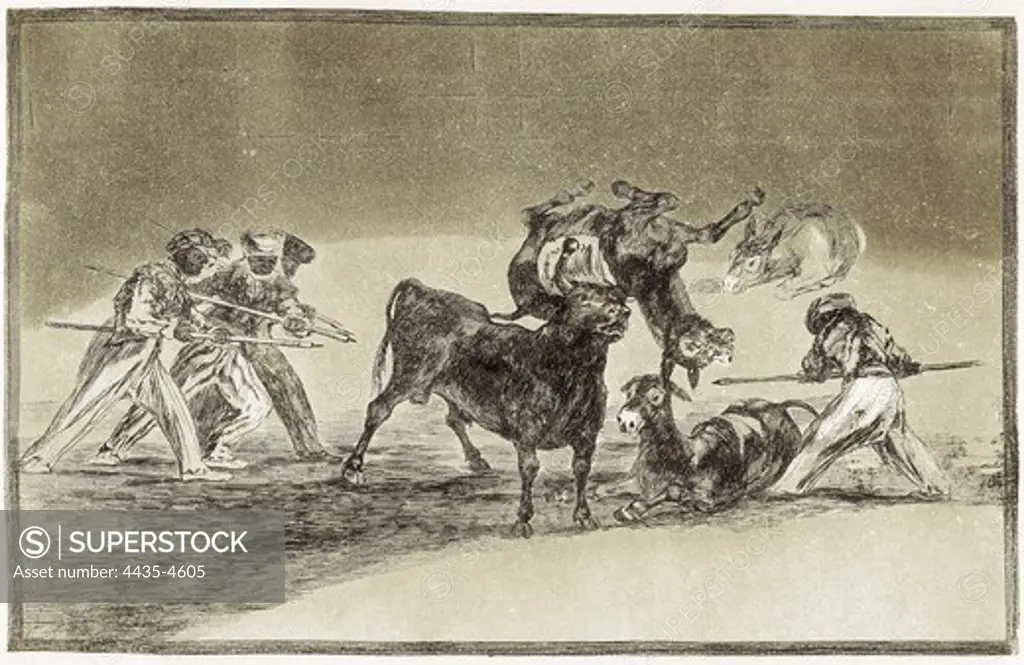 GOYA Y LUCIENTES, Francisco de (1746-1828). The Moors use donkeys as a barrier to defend themselves against the bull, whose horns have been tipped with balls. 1816. Plate 17 of 'The Art of Bullfighting'. Etching. SPAIN. MADRID (AUTONOMOUS COMMUNITY). Madrid. National Library.
