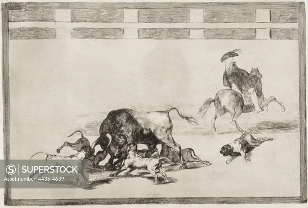 GOYA Y LUCIENTES, Francisco de (1746-1828). They loose dogs on the bull. 1815-1816. Plate 25 of 'The Art of Bullfighting'. Etching. SPAIN. MADRID (AUTONOMOUS COMMUNITY). Madrid. National Library.
