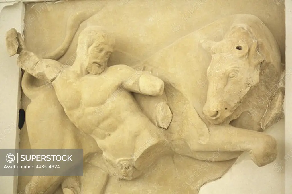 Hercules Wrestling the Bull of Knossos into Submission. 470 -456 BC. Fourth metope of the opisthodome of the Temple of Zeus. Classical Greek art. Relief on marble. GREECE. WESTERN GREECE. ELIS. Olympia. Archaeological Museum of Olympia.