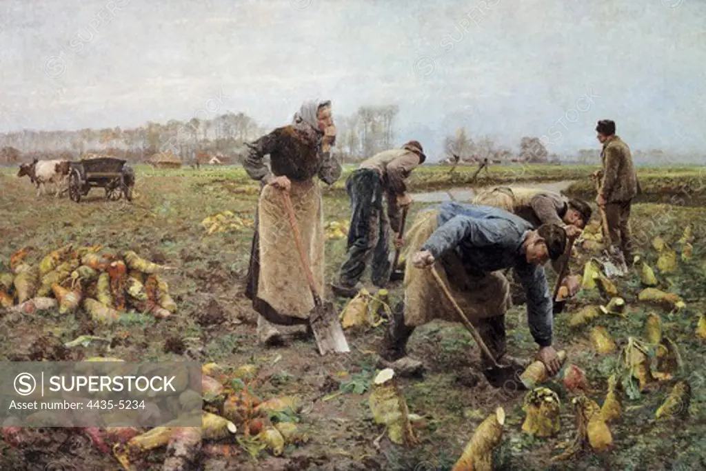 CLAUS, Emile (1849-1924). The Beet Harvest. 1890. Impressionism. Oil on canvas. BELGIUM. FLANDERS. Deinze. Museum of Deinze and the Leie region.