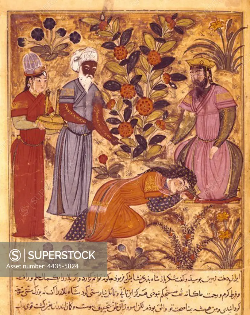 Shahnameh. The Book of Kings. 16th c. A women kneels down before the sultan. It belongs to 'the Book of Calilla and Dinma', from 'the Fables of Bidpay'. Islamic art. Miniature Painting. EGYPT. CAIRO. Cairo. National Library.