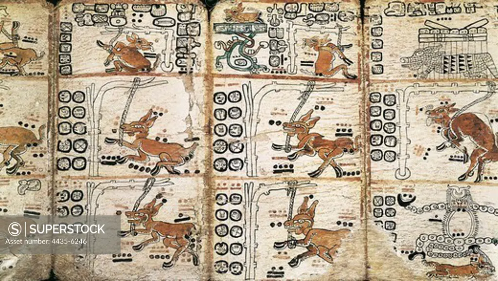 Trocortesian or Madrid Codex. s.XIV. Detail. Maya art. Miniature Painting. SPAIN. MADRID (AUTONOMOUS COMMUNITY). Madrid. America's Museum.