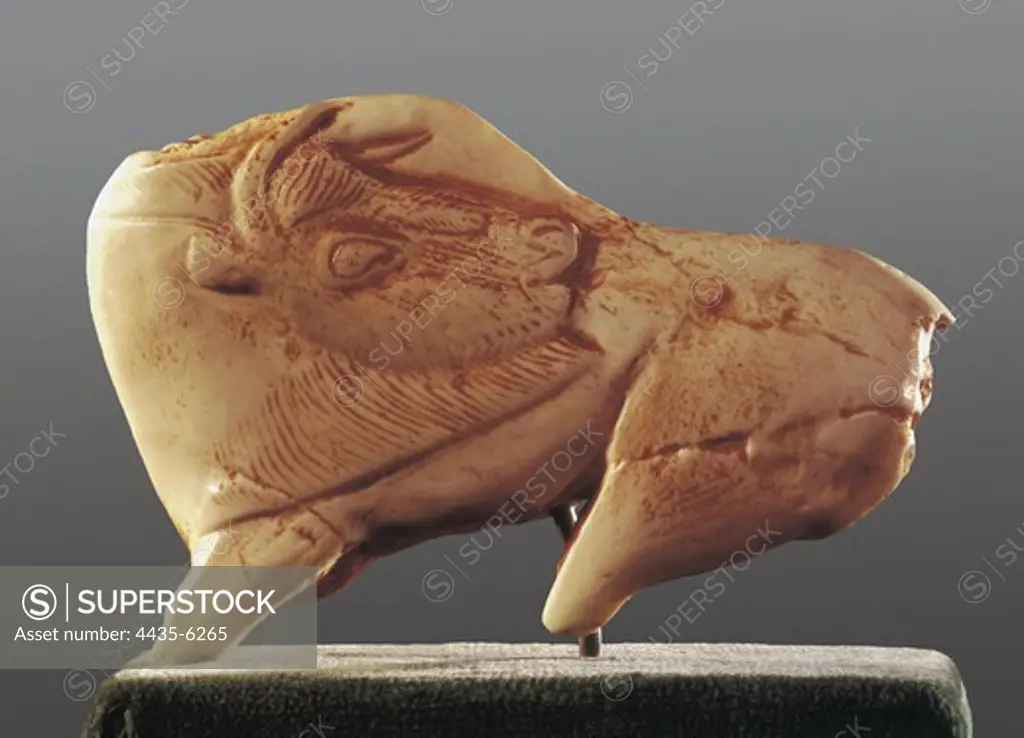 Bison turning the head. 15th-10th mil. BC. Copy after an original found in the Madeleine Cave, Dordogne. Upper Paleolithic. Magdalenian. Sculpture on ivory. SPAIN. CATALONIA. BARCELONA. Barcelona. Archaeology Museum of Catalonia.