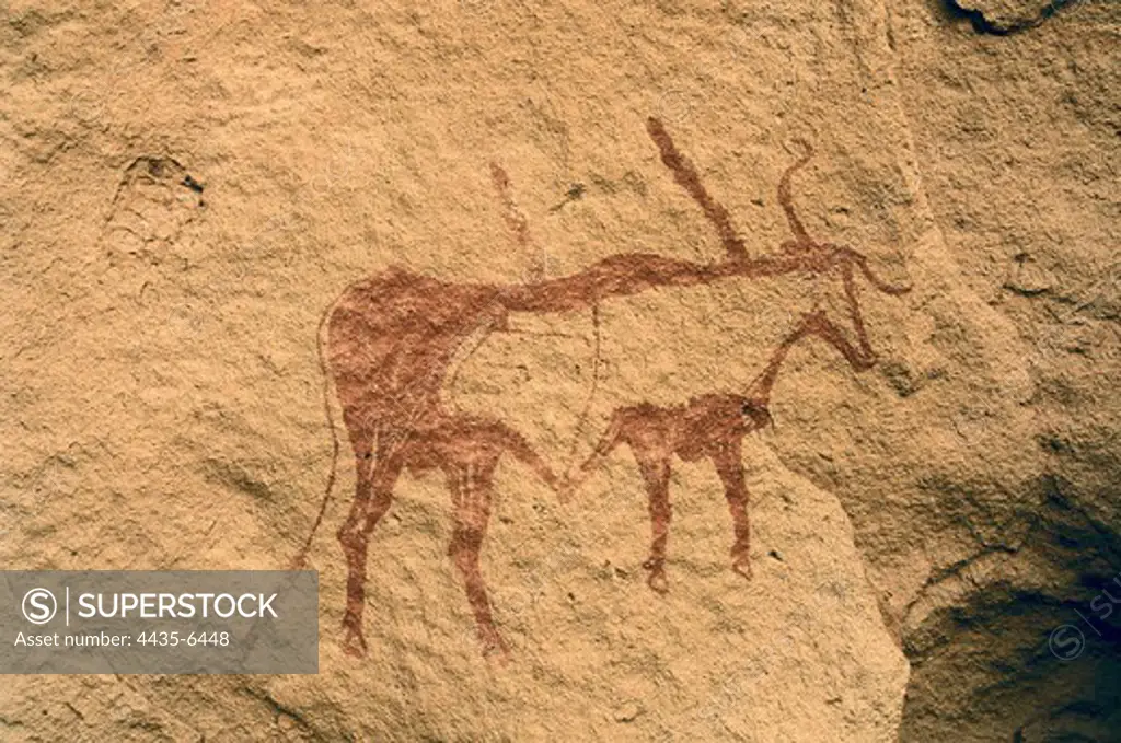 LIBYA. Tadrart Acacus. Zoomorphic drawing (circa 1500 BC). Neolithic art. Cave.