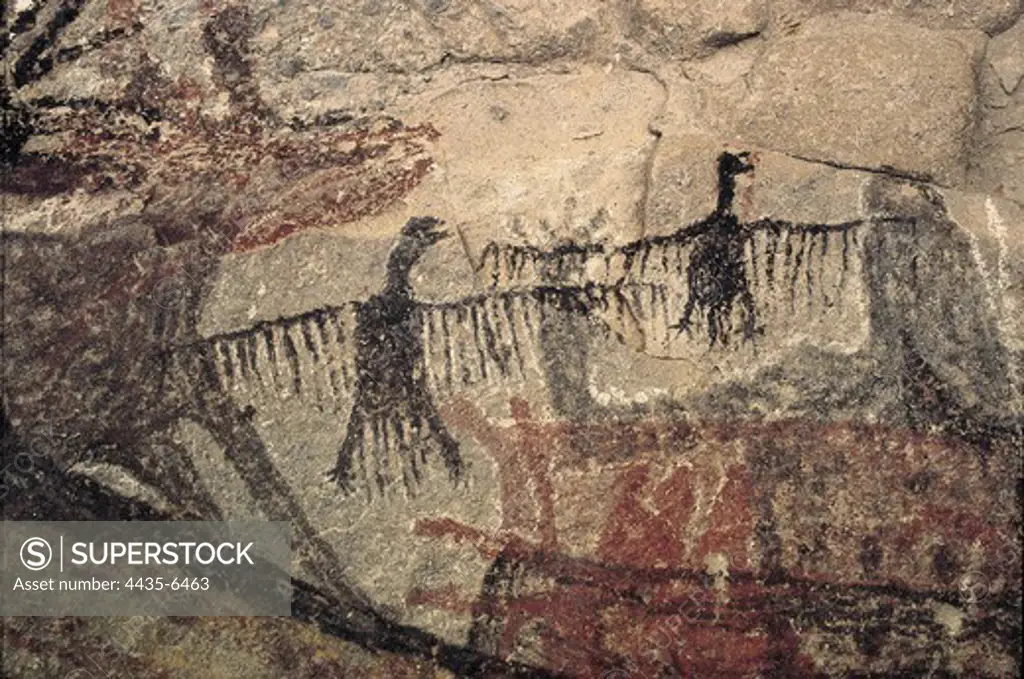 MEXICO. BAJA CALIFORNIA SUR. Rock paintings of the Sierra de San Francisco. Representation of unidentified birds (c.1100 BC). Neolithic art. Cave.