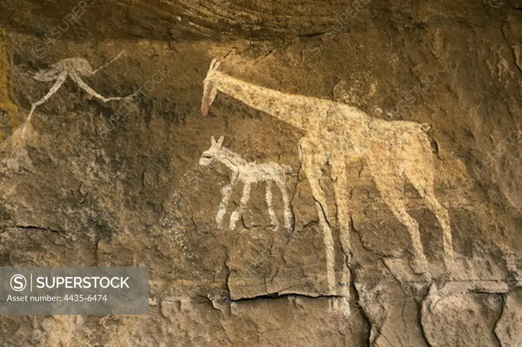 LIBYA. Tadrart Acacus. Representation of giraffes (12.000-8000 BC). Neolithic art. Cave.