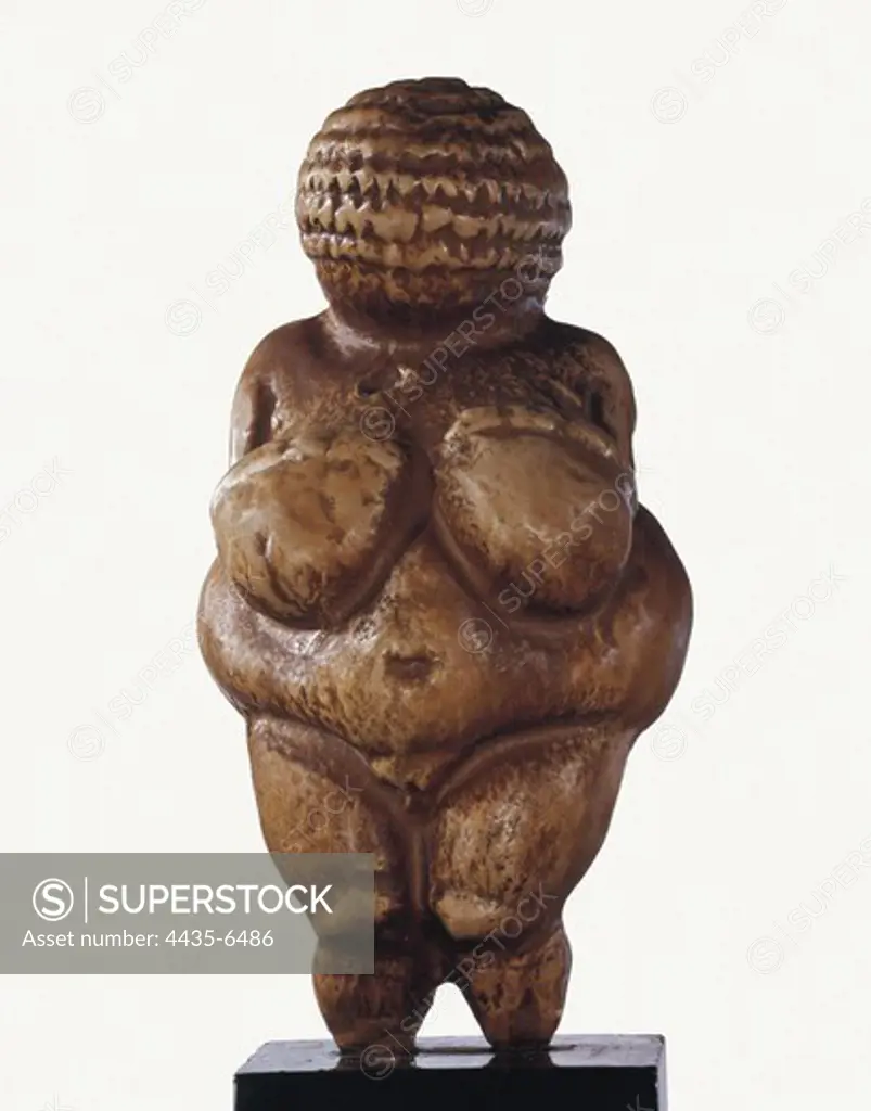 Venus of Willendorf. 23rd mil. BC. Representation of fertility. Upper Paleolithic. Gravettian. Sculpture on rock. AUSTRIA. VIENNA. Vienna. Natural History Museum. Proc: AUSTRIA. LOWER AUSTRIA. Willendorf.