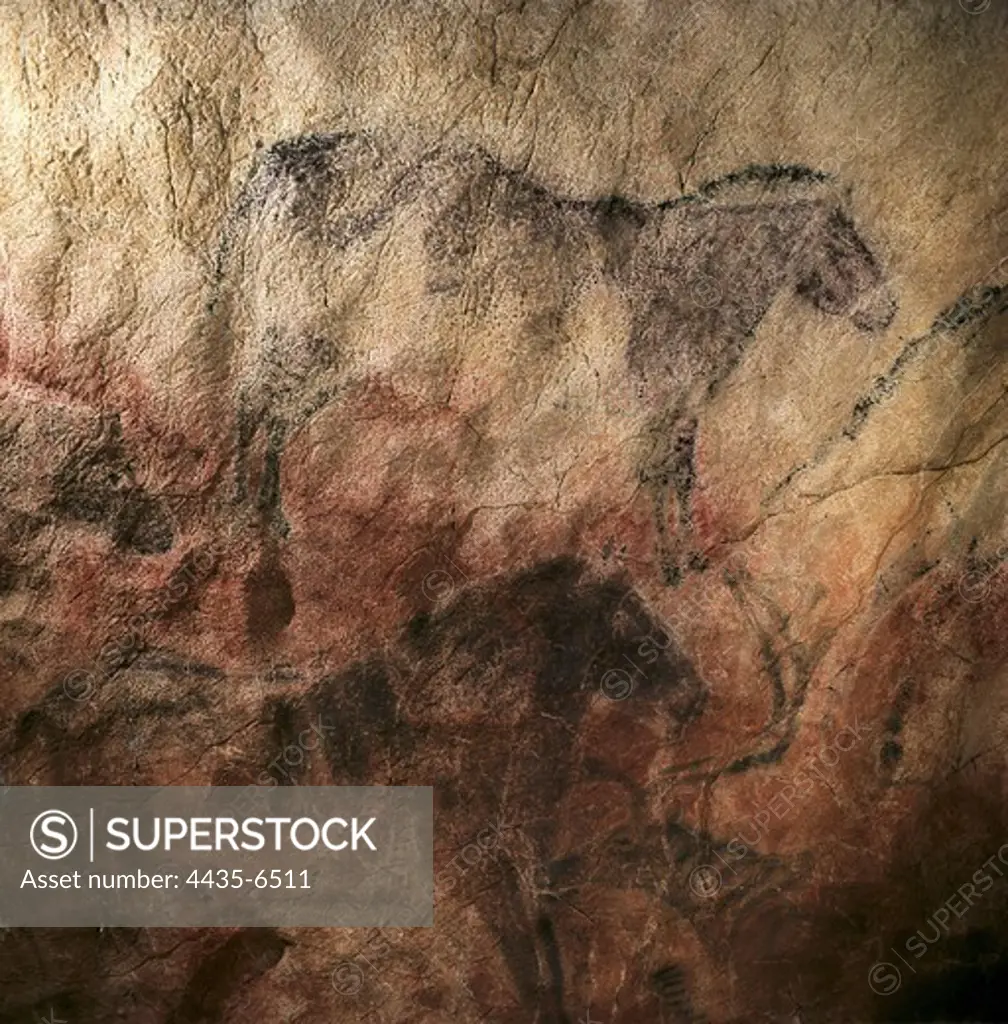 SPAIN. Ribadesella. Tito Bustillo Cave. Shaggy rhinoceros. Upper Paleolithic. Magdalenian. Cave.