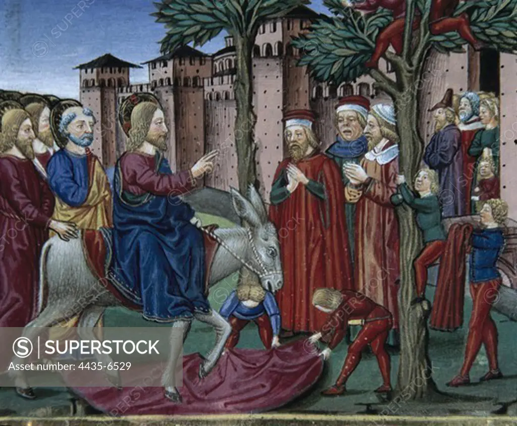 DE PREDIS, Cristoforo (1440-1486). Stories of Saint Joachim, Saint Anne, Virgin Mary, Jesus, the Baptist and the End of the World. 1476. People, knowing that Jesus is coming to Jerusalem, goes en masse to welcome him. Renaissance art. Quattrocento. Miniature Painting. ITALY. PIEDMONT. Turin. Royal Library.