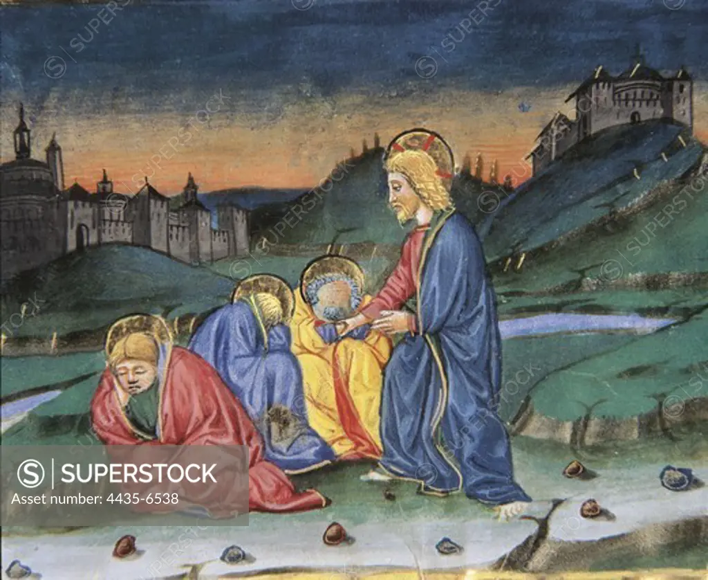 DE PREDIS, Cristoforo (1440-1486). Stories of Saint Joachim, Saint Anne, Virgin Mary, Jesus, the Baptist and the End of the World. 1476. After having prayed at Mount of Olives, Jesus returns with his disciples and finds them sleeping. Renaissance art. Quattrocento. Miniature Painting. ITALY. PIEDMONT. Turin. Royal Library.