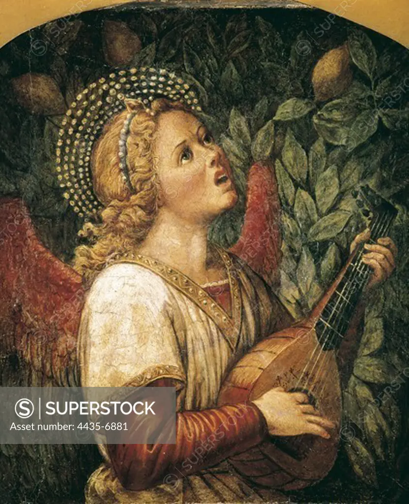 Melozzo da Forli (1438-1494). Angel Musician. end 15th c. Renaissance art. Quattrocento. Fresco. SPAIN. MADRID (AUTONOMOUS COMMUNITY). Madrid. Prado Museum.
