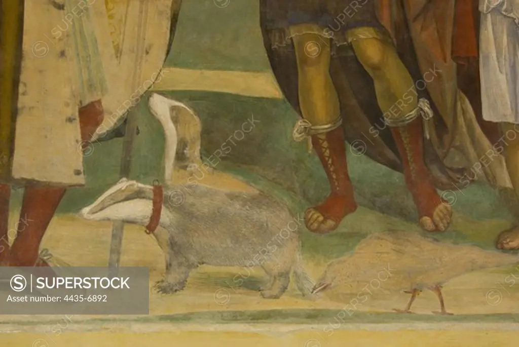 SODOMA, Giovanni Antonio Bazzi, also called Il (1477-1549). ITALY. SIENA. Abbey of Monte Oliveto Maggiore. Fresco painting placed in Chiostro Grande.'Come Benedetto risalda lo capistero che si era rotto'. Detail depicting a dog, a bird and badger. Renaissance art. Fresco.
