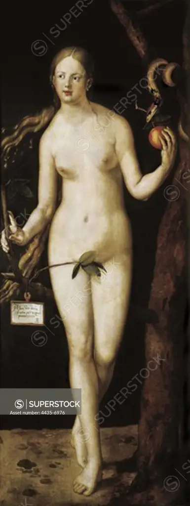 DURER, Albrecht (1471-1528). Eve. 1507. Renaissance art. Oil on wood. SPAIN. MADRID (AUTONOMOUS COMMUNITY). Madrid. Prado Museum.