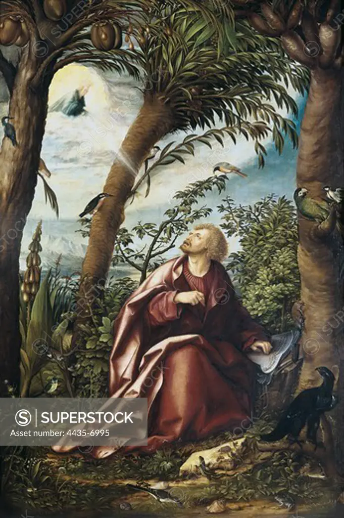 Burgkmair, Hans, The Elder. Saint John Altarpiece. 1518. Central panel. Depiction of Satin John at Patmos. Flemish art. Oil on wood. GERMANY. BAVARIA. Munich. Alte Pinakothek (Old Pinacotheca).