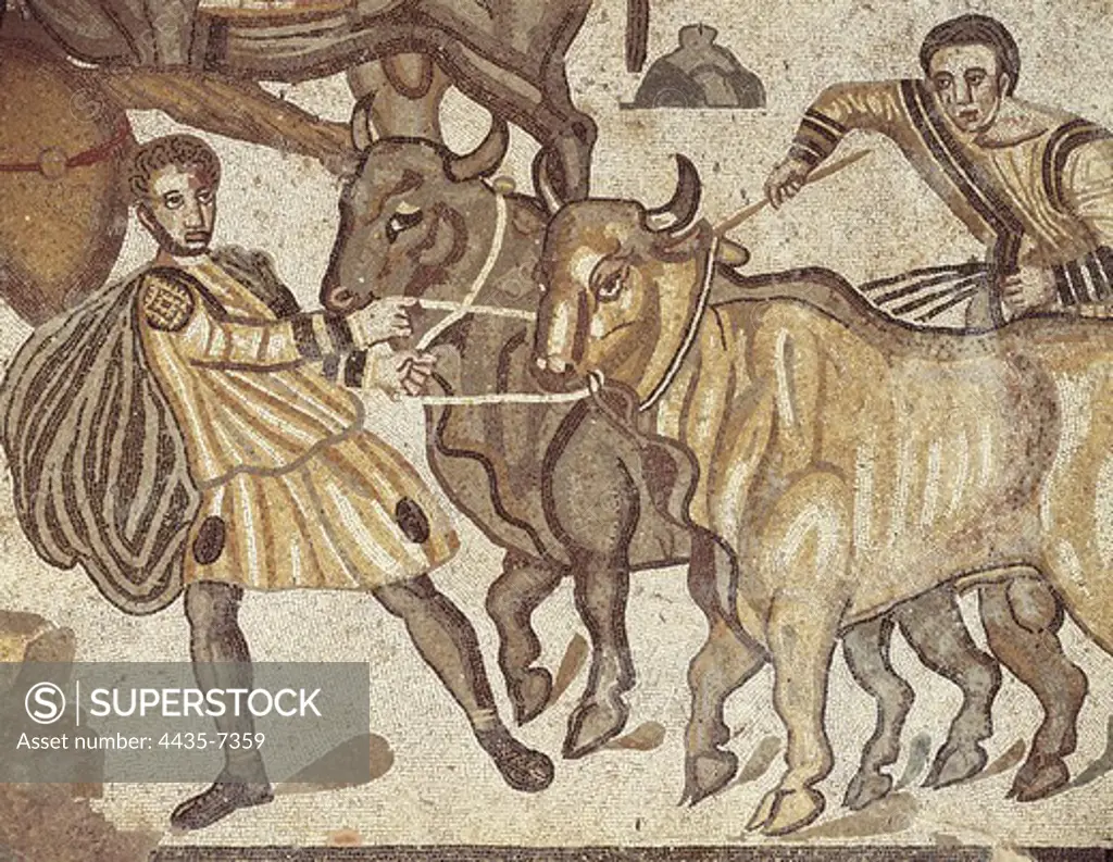 Oxen transporting water. ITALY. Piazza Armerina. Villa Romana del Casale. Roman art. Late Empire. Mosaic.