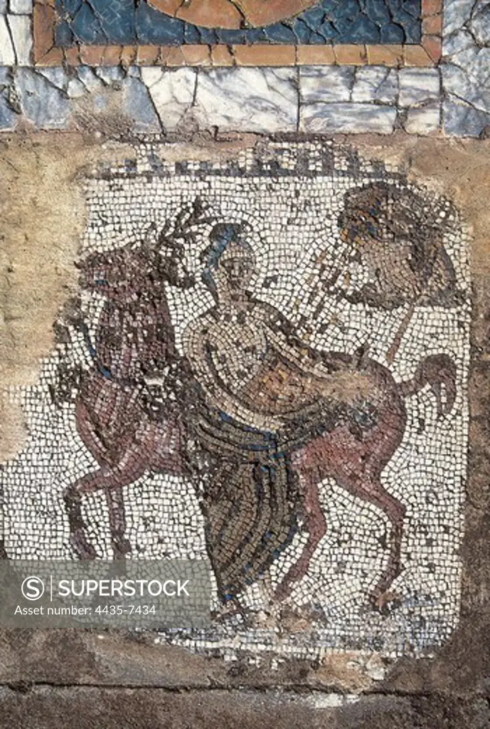 TUNISIA. Carthage. House of Horses. Roman art. Early Empire. Mosaic.