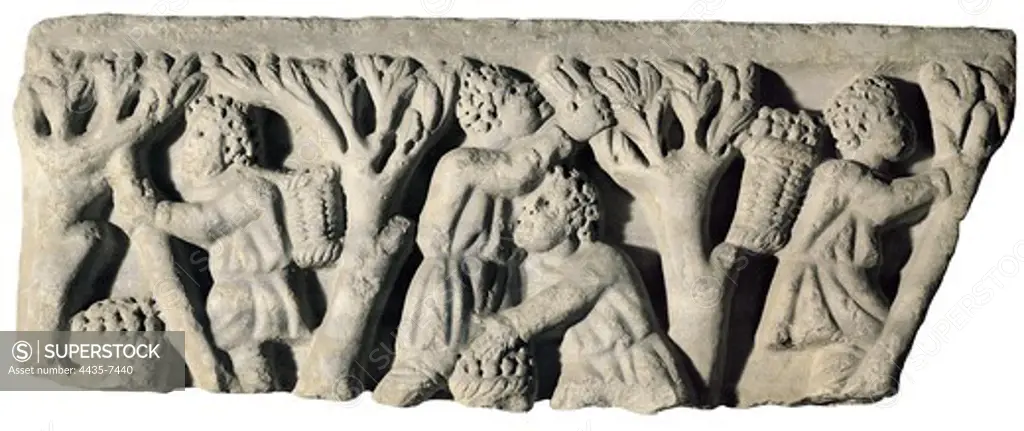 Olive harvest. Fragment of bas relief. Late 3rd century - early 4th century A.D. Roman art. Late Empire. Relief on marble. SPAIN. ANDALUSIA. Cordoba. Archaeological Museum of Cordoba. Proc: SPAIN. ANDALUSIA. CORDOBA. Cordoba.