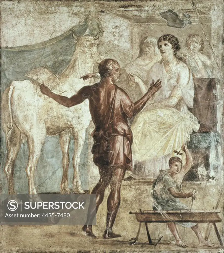 ITALY. Pompeii. House of the Vettii. Daedalus presents the artificial cow to Pasipha. 1st C. A.D. Roman art. Early Empire. Painting.