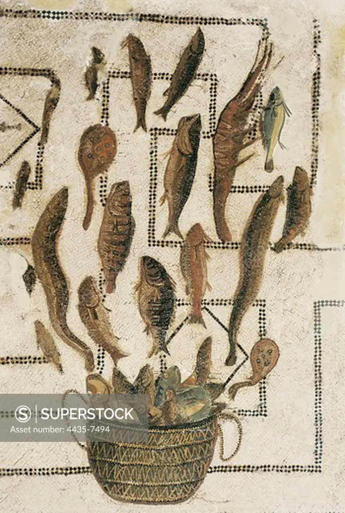 Tile mosaic depicting some fish. Roman art. Early Empire. Mosaic. IRAN. Susa. Archaeological Museum.