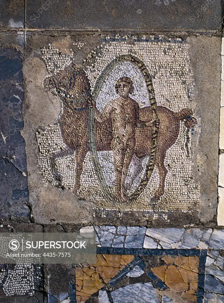 TUNISIA. Carthage. House of Horses. Opus tessellatum with equestrian scene. Roman art. Mosaic.